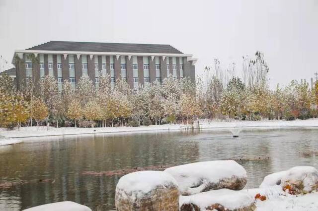 杏林初雪，在北中医与第一场雪相遇