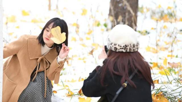 美出圈！当立冬遇上大雪