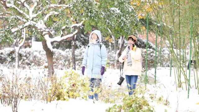 美出圈！当立冬遇上大雪