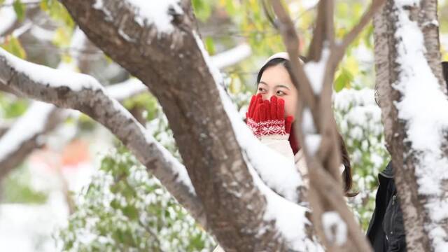 美出圈！当立冬遇上大雪