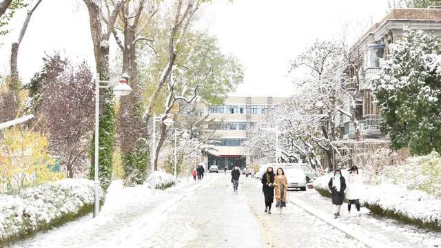 美出圈！当立冬遇上大雪