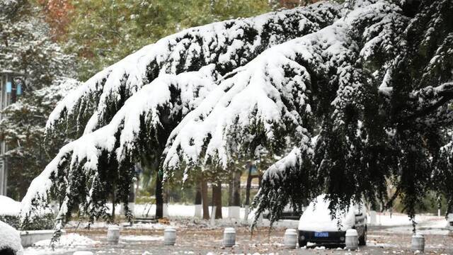 美出圈！当立冬遇上大雪