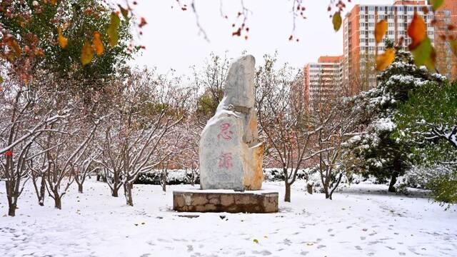 美出圈！当立冬遇上大雪