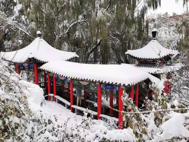 初雪遇上立冬