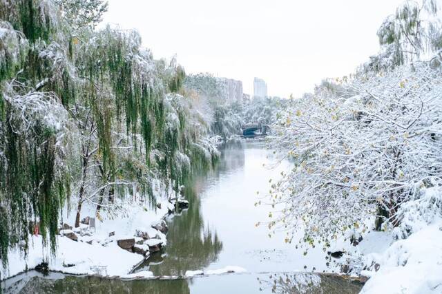 初雪遇上立冬