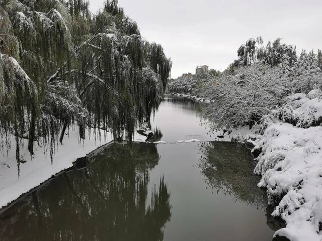 初雪遇上立冬