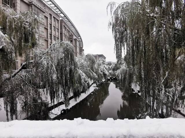 初雪遇上立冬