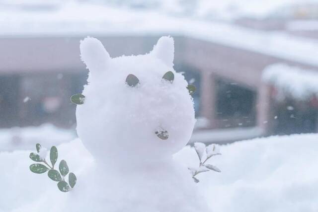 初雪遇上立冬