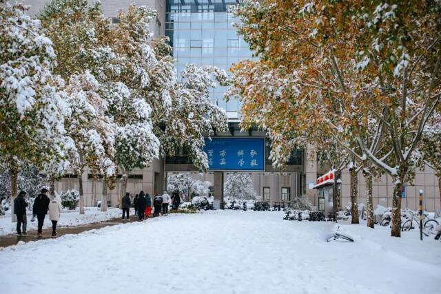 初雪遇上立冬