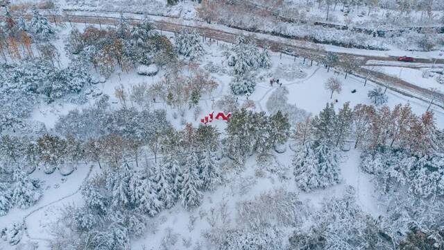 初雪遇上立冬