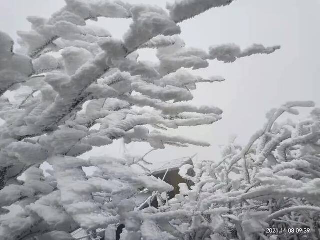 “浙”里飘雪了！算是入冬吗？接下来气温如何？一起了解～