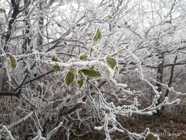 “浙”里飘雪了！算是入冬吗？接下来气温如何？一起了解～