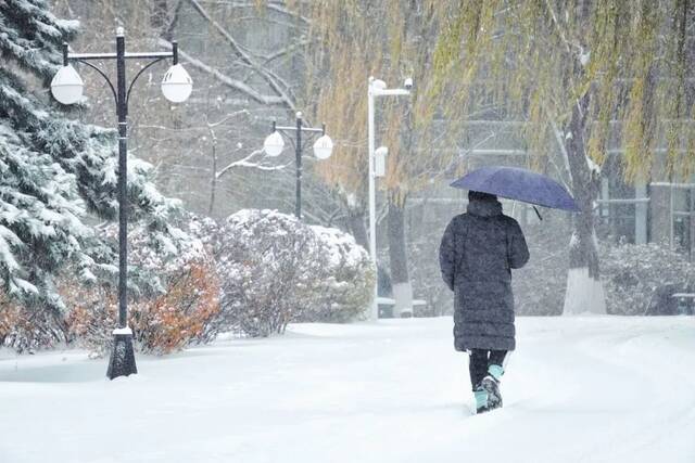 建大  冬 · 雪