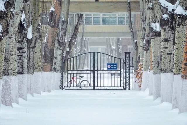 建大  冬 · 雪