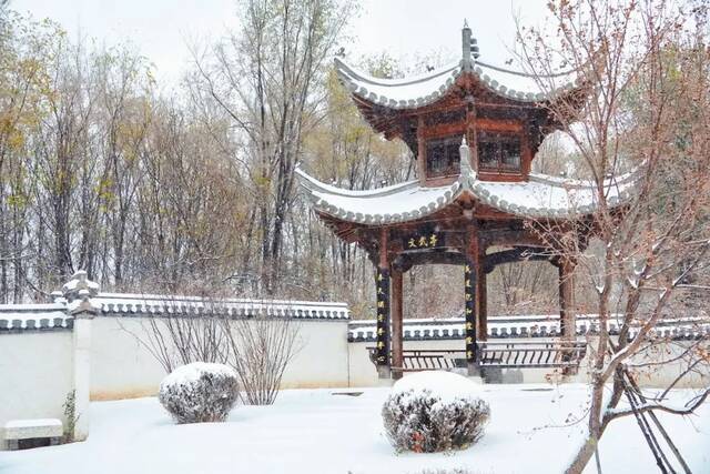 建大  冬 · 雪