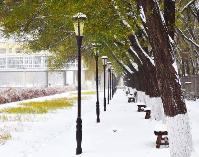 建大  冬 · 雪