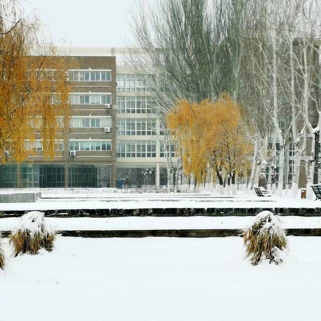 建大  冬 · 雪