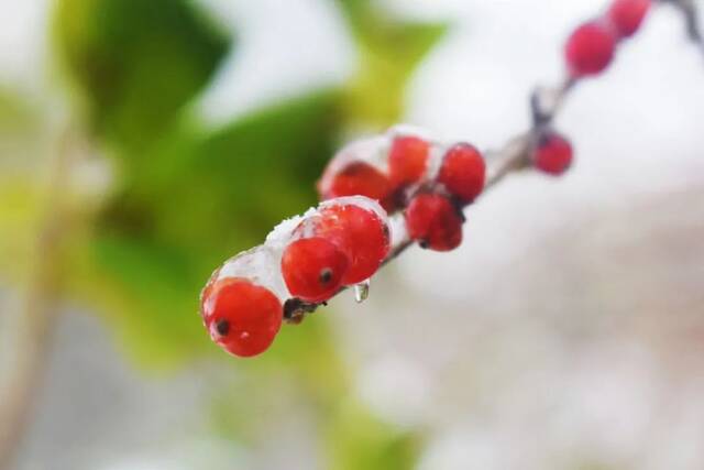 建大  冬 · 雪