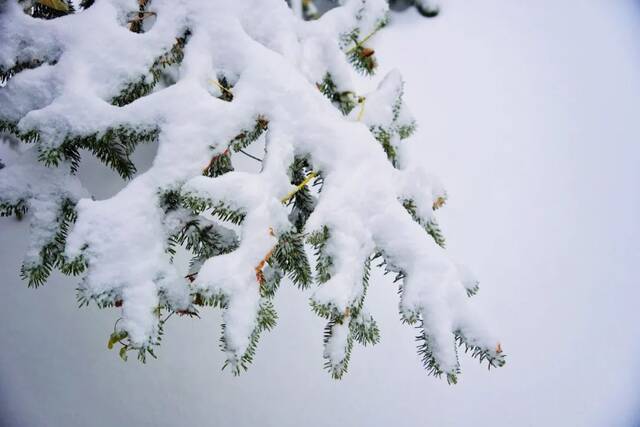 建大  冬 · 雪