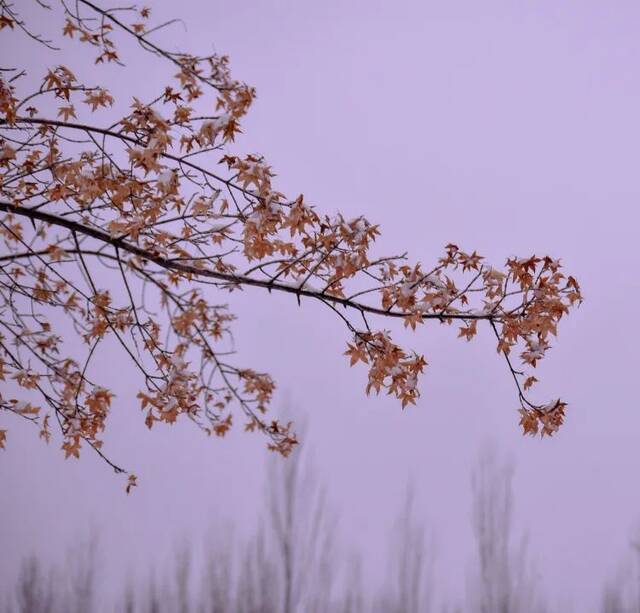 建大  冬 · 雪