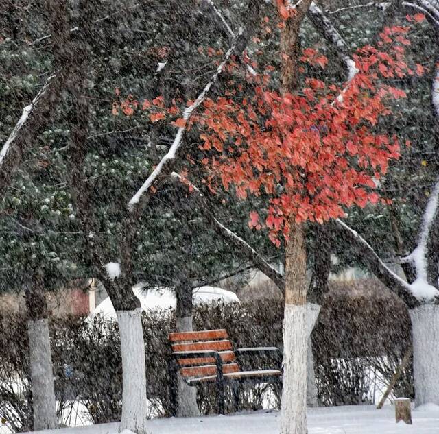 东师初雪  久等了，每一帧都是惊艳