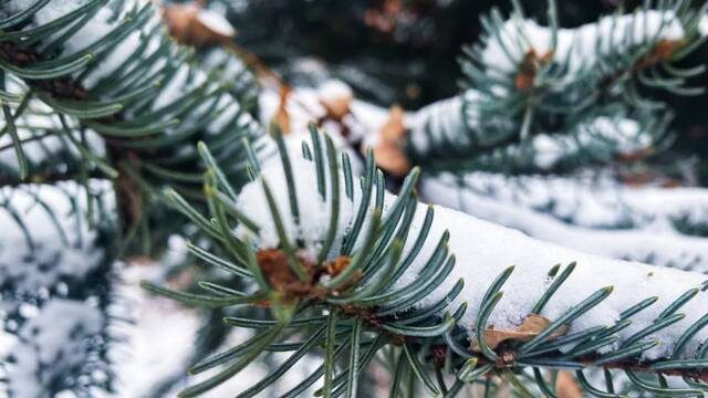 东师初雪  久等了，每一帧都是惊艳