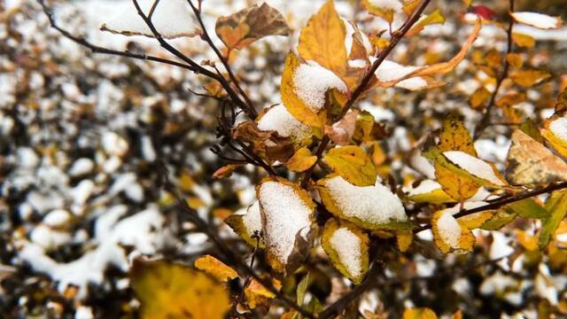 东师初雪  久等了，每一帧都是惊艳