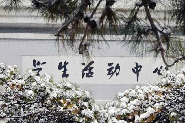 我爱你，东大的雪！