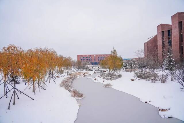 我爱你，东大的雪！