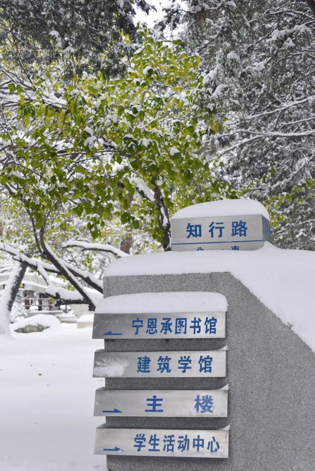 我爱你，东大的雪！