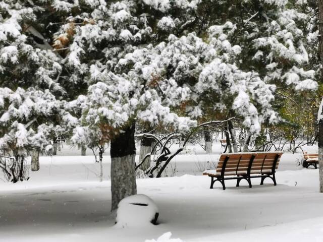 我爱你，东大的雪！