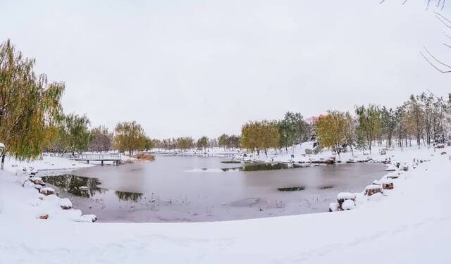 我爱你，东大的雪！