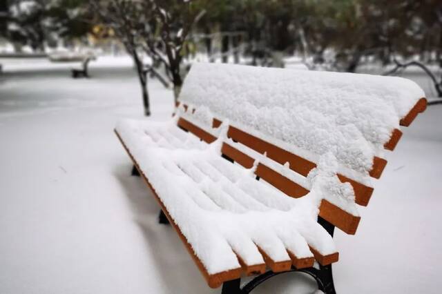 我爱你，东大的雪！