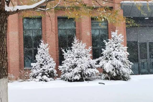 我爱你，东大的雪！