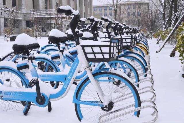 我爱你，东大的雪！