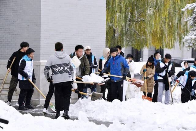 我爱你，东大的雪！