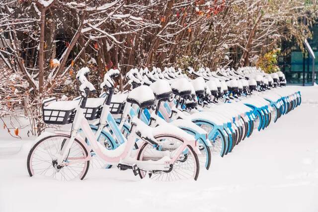 我爱你，东大的雪！