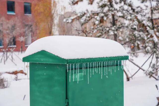 我爱你，东大的雪！