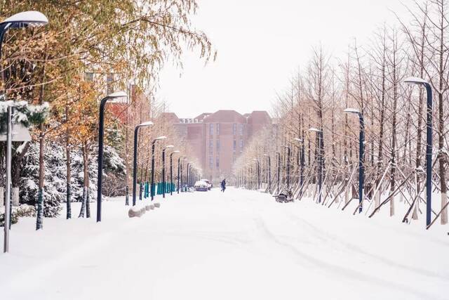 我爱你，东大的雪！