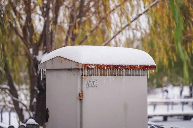 我爱你，东大的雪！