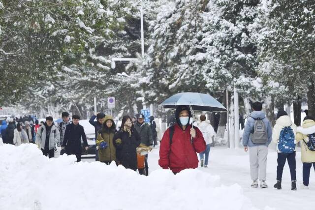 我爱你，东大的雪！