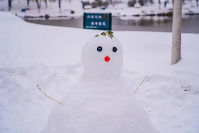 我爱你，东大的雪！