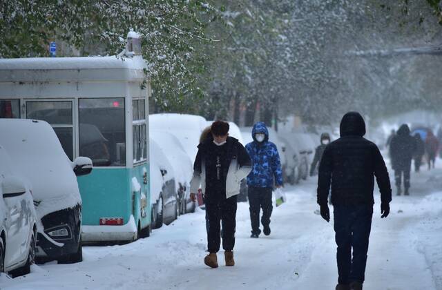 11月8日，辽宁省沈阳市迎来“冻雨+暴雪”的罕见天气。图/IC photo