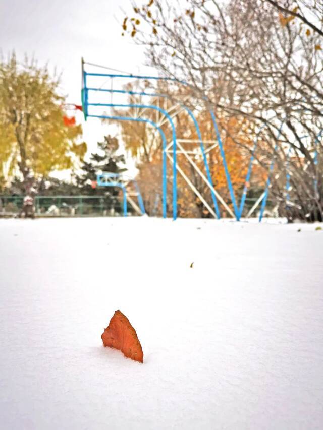 一场立冬雪，欣逢吉大园。