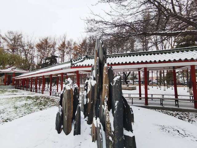 一场立冬雪，欣逢吉大园。