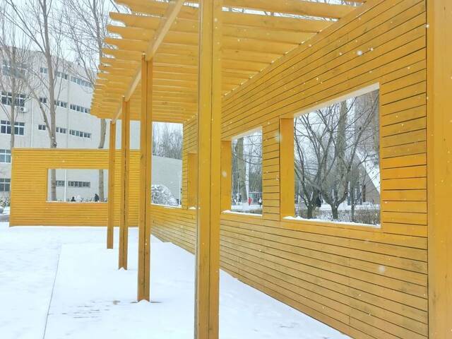 一场立冬雪，欣逢吉大园。