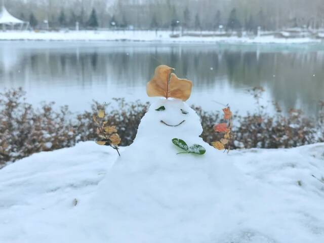 一场立冬雪，欣逢吉大园。