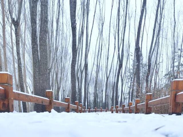一场立冬雪，欣逢吉大园。