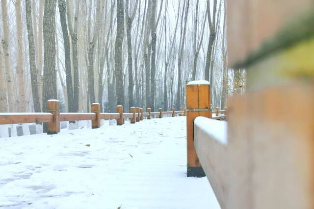 一场立冬雪，欣逢吉大园。