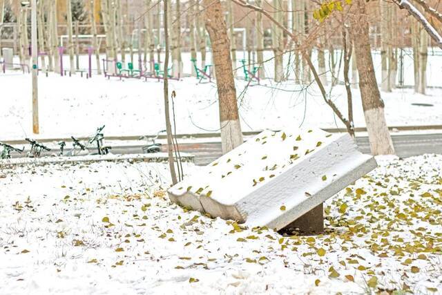 一场立冬雪，欣逢吉大园。